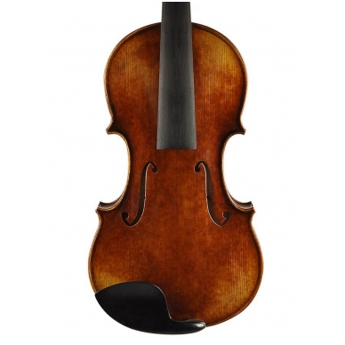 Rudolph RV-2044 Guarneri del Gesu violin 4/4 (Assembled) 2