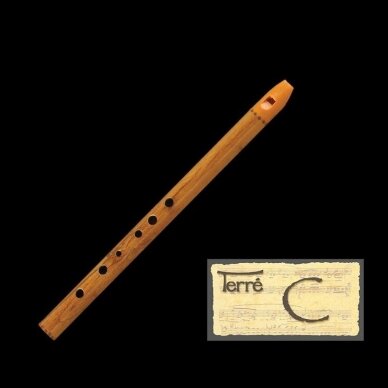 AIRIŠKA ŠVILPYNĖ TERRE 386203-C C-TONACIJA AIRIŠKA ŠVILPYNĖ TERRE 386203-C C-TONACIJA