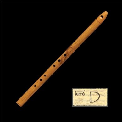 AIRIŠKA ŠVILPYNĖ TERRE 386203-D D-TONACIJA