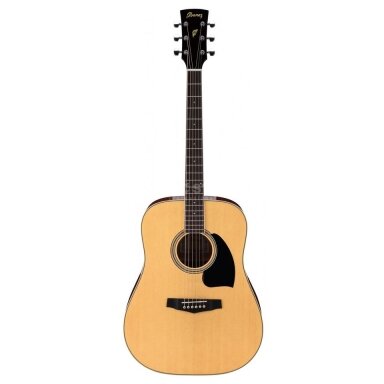 Akustinė Gitara Ibanez PF-15 NT