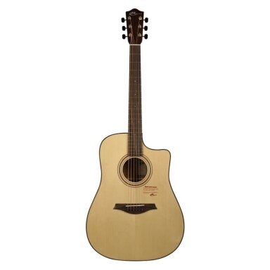 MAYSON D1-SCE ACOUSTIC GUITAR