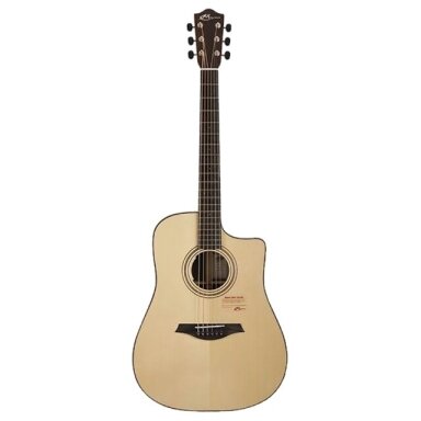 MAYSON D9-SCE ACOUSTIC GUITAR