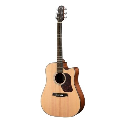 Electro acoustic guitar Walden D-550 CE/W