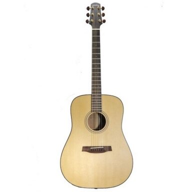 Acoustic guitar Walden D-2040