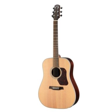 Acoustic guitar Walden D-600 W