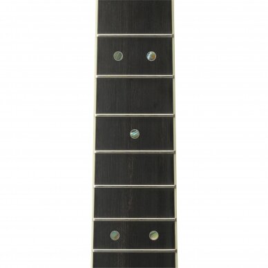 YAMAHA LS-16 ARE NATURAL WITH CASE 2