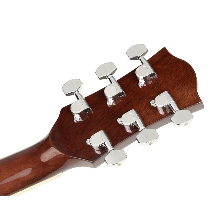 AKUSTINĖ GITARA SU PAJUNGIMU RICHWOOD RD-12-CESB SU PERĖJIMU ARTIST SERIES 4