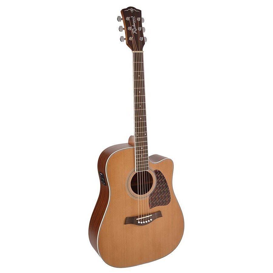 RICHWOOD RD-17C-CE ARTIST SERIES ACOUSTIC GUITAR RICHWOOD RD-17C-CE ARTIST SERIES ACOUSTIC GUITAR