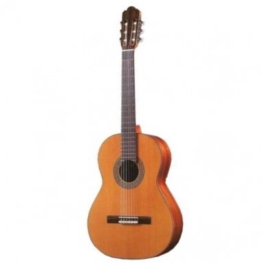 Classical Guitar Antonio Sanchez 3000