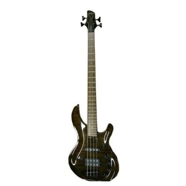 Bosinė gitara Aria IGB-49