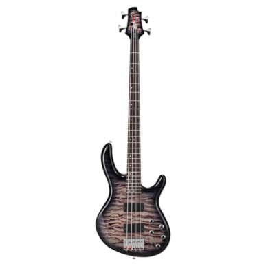 BOSINĖ GITARA CORT ACTION DLX FGB BAG