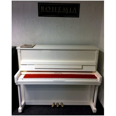 Bohemia Exclusive-123A WH Piano