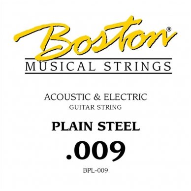 Boston BPL-009 .009 String