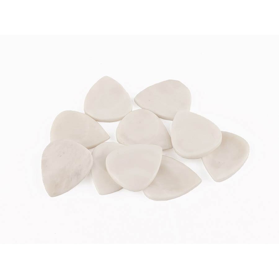 BRAUKTUKAS BOSTON ASK-MSR-BONE MADAGASCAR SERIES 1-VNT.