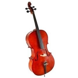 Dowina TC-12 Cello 1/2