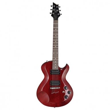 CORT Z-42 WR BAG