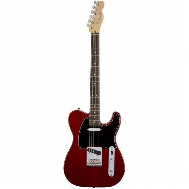 Elektrinė Gitara Fender Standard Telecaster RW 113200738