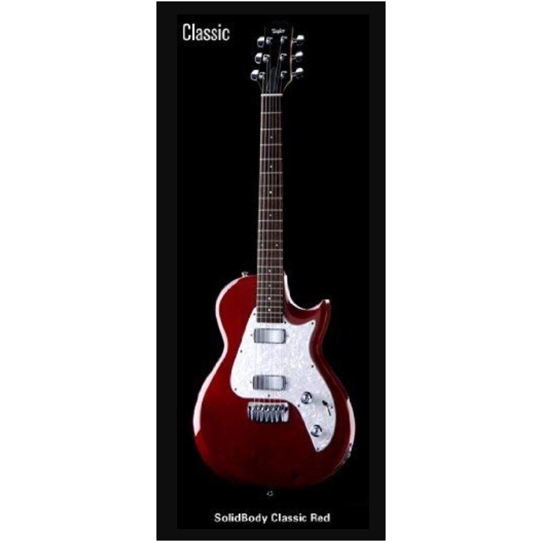 TAYLOR SB-X2