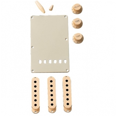Fender 099-1368-000 Vintage-Style Stratocaster Accessory Kit - Aged White