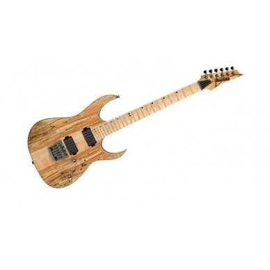 Elektrinė gitara Ibanez RG-721 MSM - Natural Flat 1