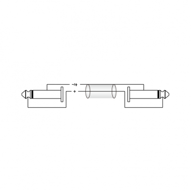 INSTRUMENTINIS KABELIS ROXTONE DGJJ100L1 1 M 2