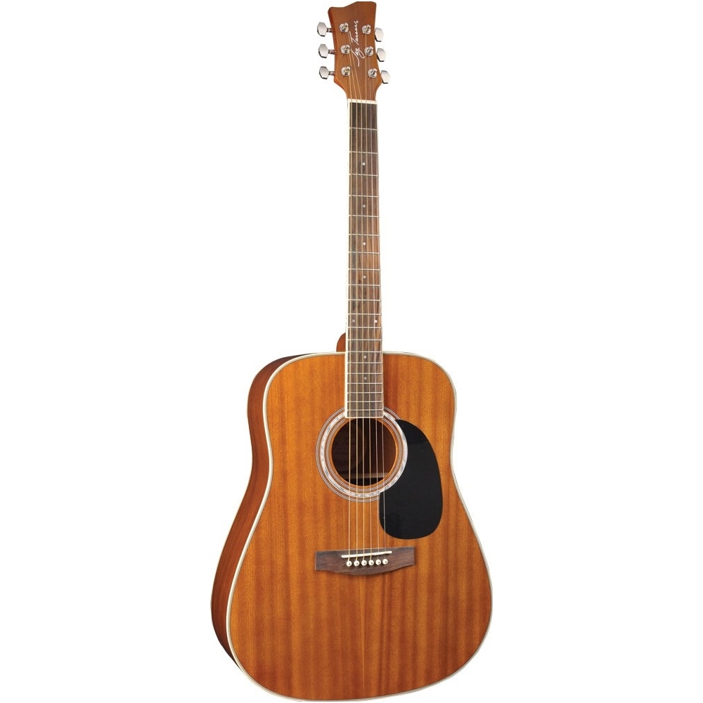Acoustic Guitar Jay Turser JTA-555
