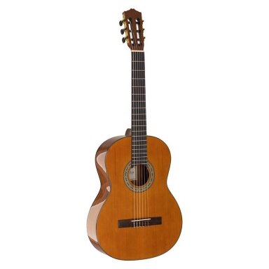 SALVADOR NOVA-C STUDENT SERIES CLASSIC GUITAR CEDAR+SAPELE