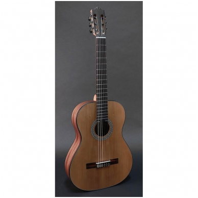 MARTINEZ MC-35C Elementary Series classic guitar