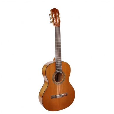 Klasikinė Gitara Salvador Cortez CC-08-JR Student Series 3/4 Dydžio