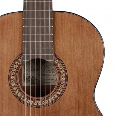 SALVADOR CORTEZ CC-21 CLASSIC GUITAR SOLID TOP ARTIST SERIES 4