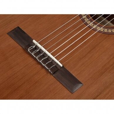 SALVADOR CORTEZ CC-21 CLASSIC GUITAR SOLID TOP ARTIST SERIES 5 SALVADOR CORTEZ CC-21 CLASSIC GUITAR SOLID TOP ARTIST SERIES 5