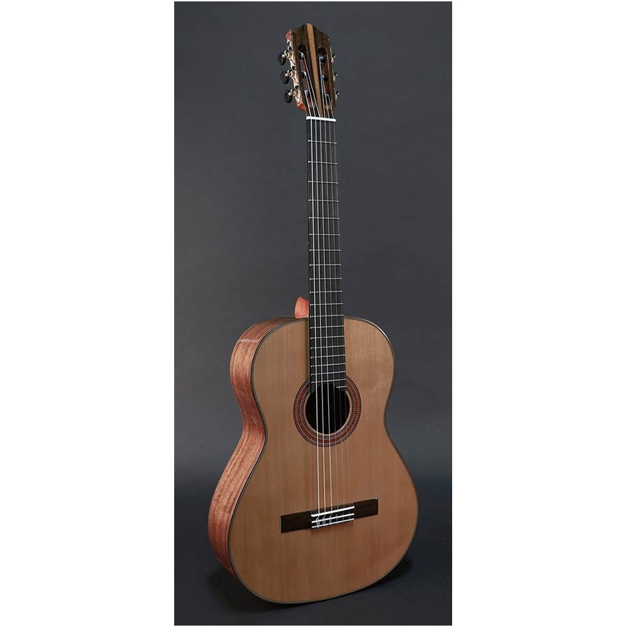 Martinez MC-118C Standard Series classic guitar Martinez MC-118C Standard Series classic guitar