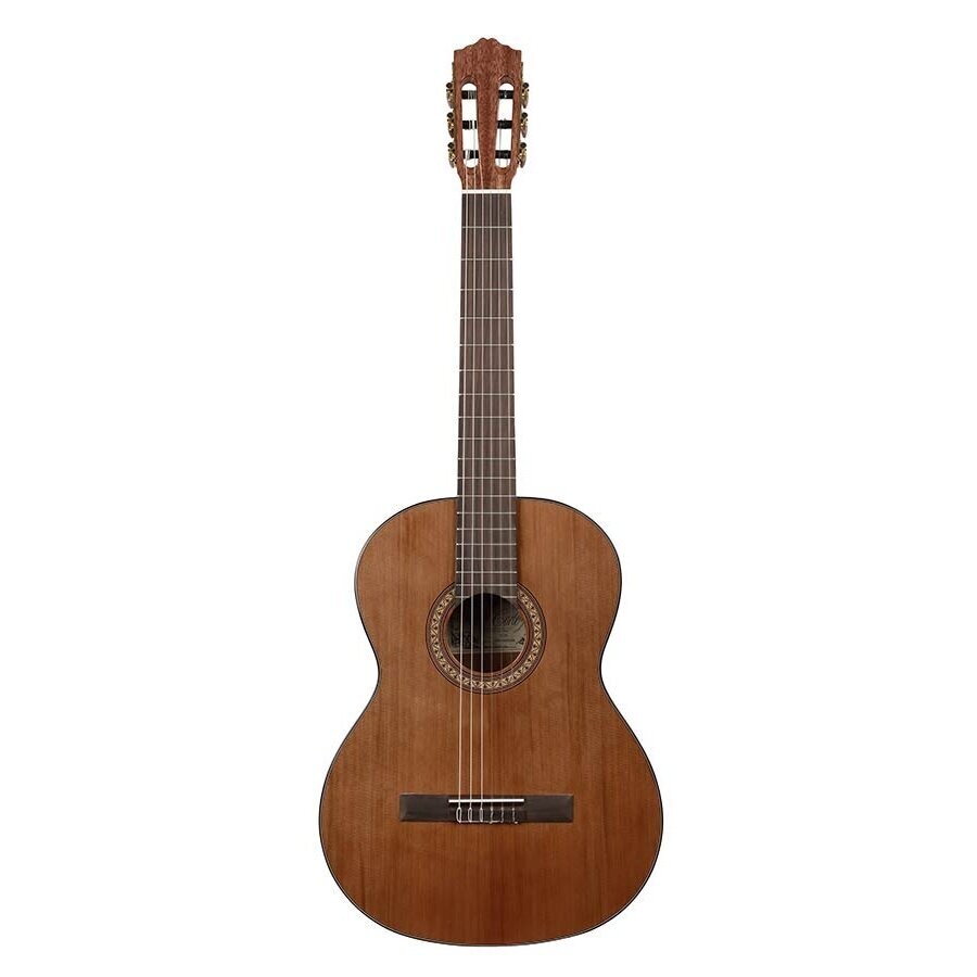 SALVADOR CORTEZ CC-21 CLASSIC GUITAR SOLID TOP ARTIST SERIES 1