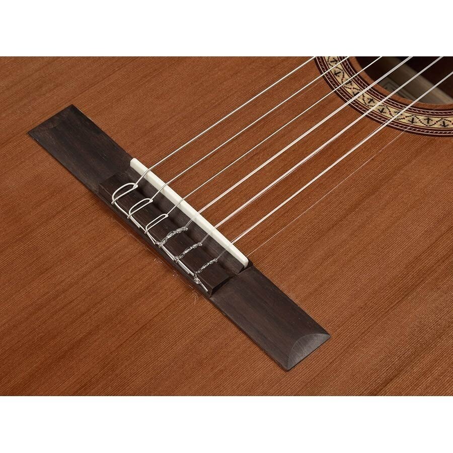 SALVADOR CORTEZ CC-21 CLASSIC GUITAR SOLID TOP ARTIST SERIES 5 SALVADOR CORTEZ CC-21 CLASSIC GUITAR SOLID TOP ARTIST SERIES 5