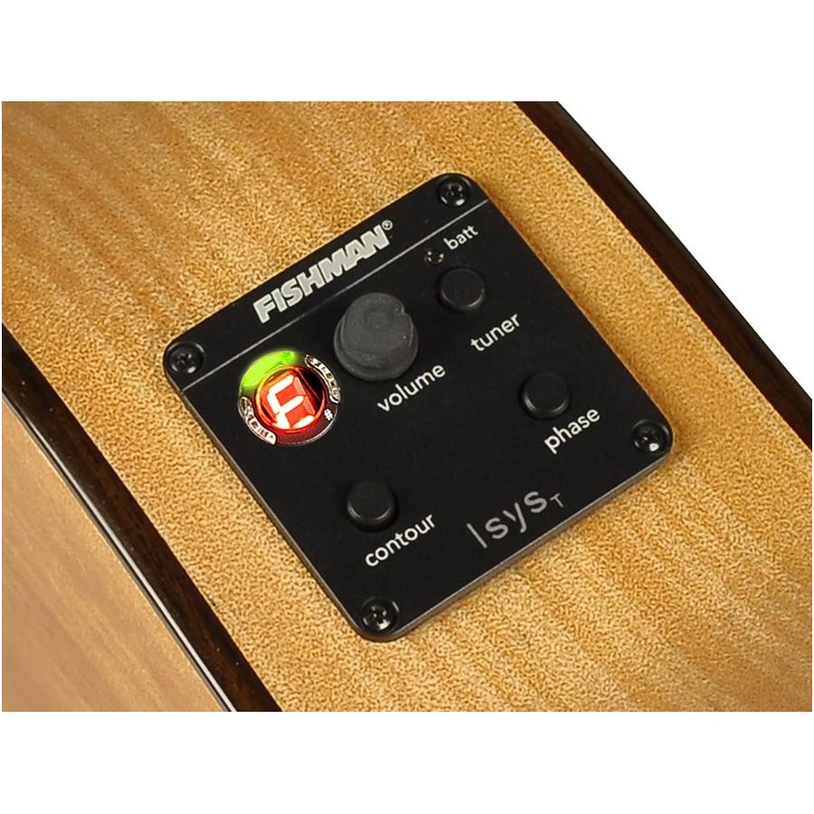 Famenco Guitar With Electronics Salvador Cortez CF-55CE Flamenco Series 4
