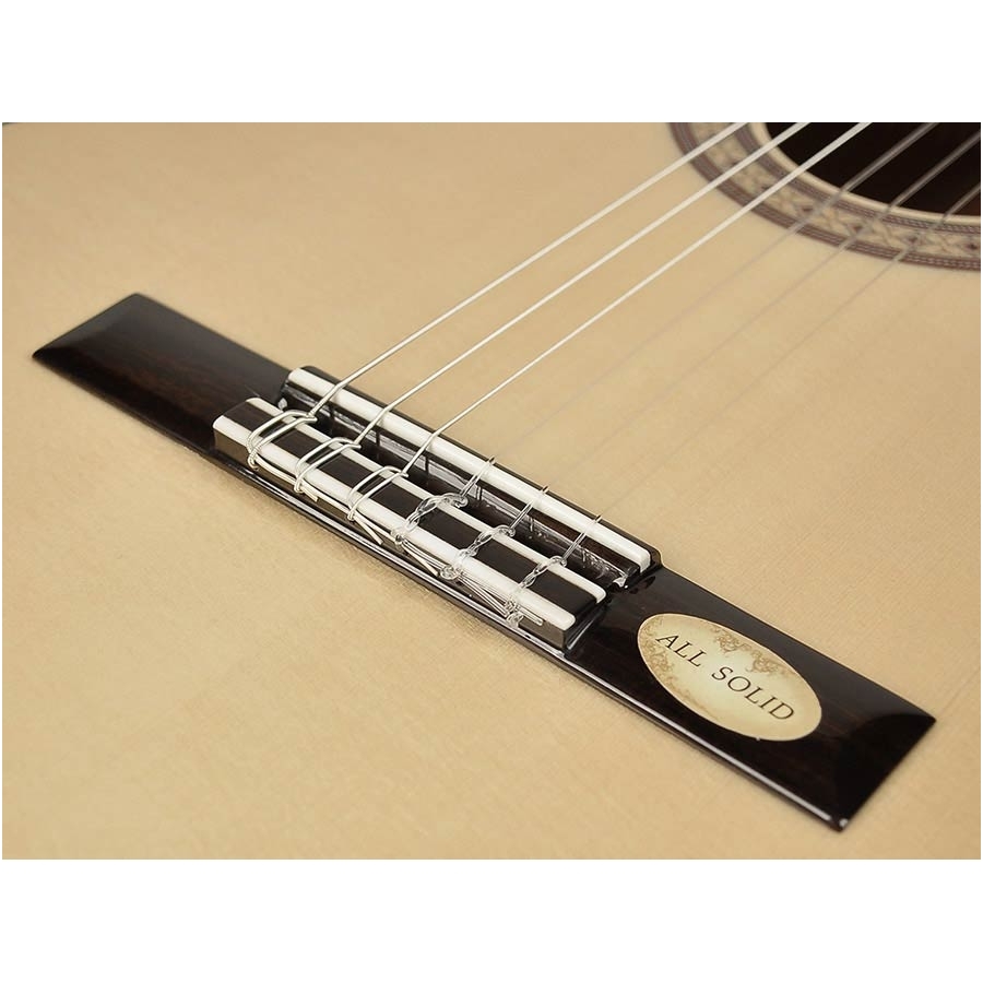 Famenco Guitar With Electronics Salvador Cortez CF-55CE Flamenco Series 6