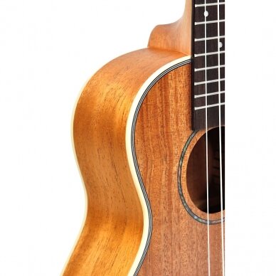 EVER PLAY SE-20C-NT SEGOVIA CONCERT UKULELE 3 EVER PLAY SE-20C-NT SEGOVIA CONCERT UKULELE 3