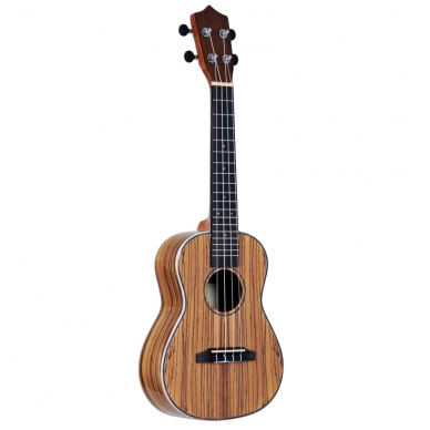 EVER PLAY UKU-702C NT