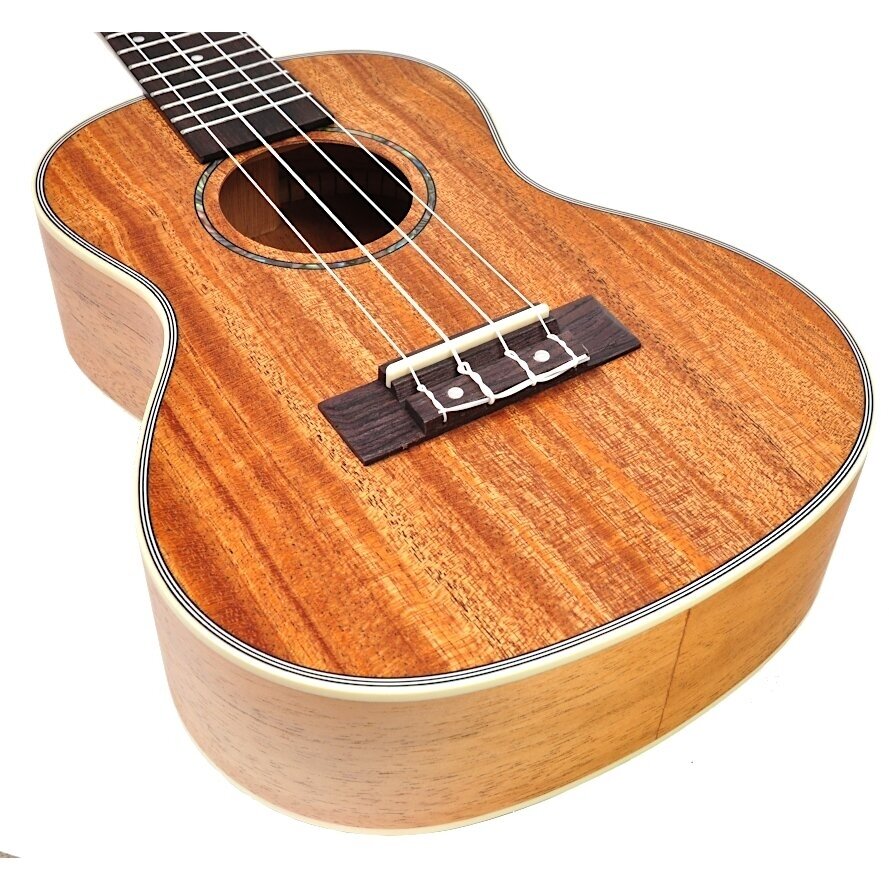 EVER PLAY SE-20C-NT SEGOVIA CONCERT UKULELE 4