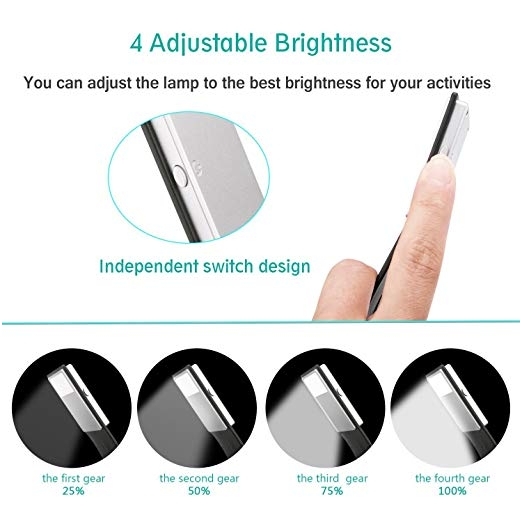 Adjustable Brightness Flexible Light