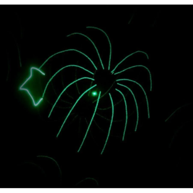 Light4Me PARTY LASER 1 Lazeris 4 Light4Me PARTY LASER 1 Lazeris 4