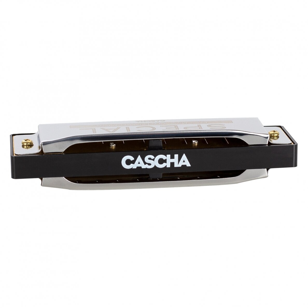 CASCHA HH-2165 SPECIAL BLUES IN D DIATONIC 2