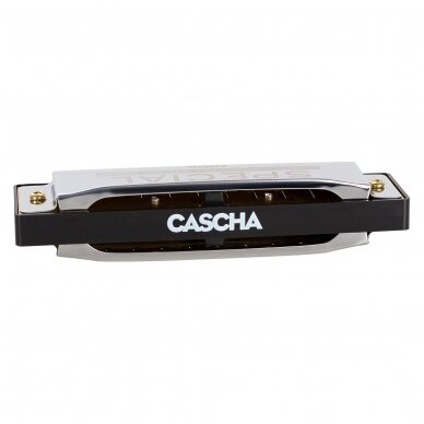 CASCHA HH-2165 SPECIAL BLUES IN D DIATONIC 2