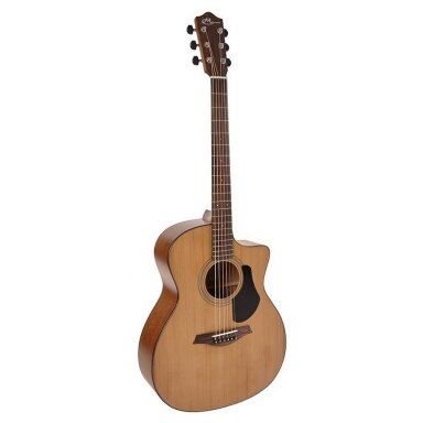 Mayson ECM-10CE Elementary Series Marquis Model Guitar Mayson ECM-10CE Elementary Series Marquis Model Guitar