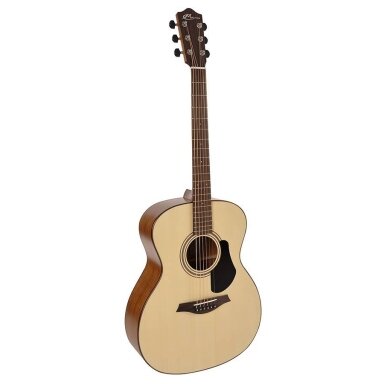 Acoustic Guitar Mayson ESM-10 Elementary Series Marquis Model