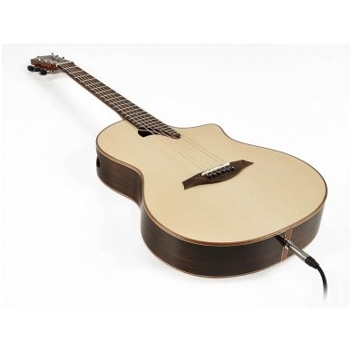 Electro-Acoustic Guitar Mayson PS-301 Performer Series 2