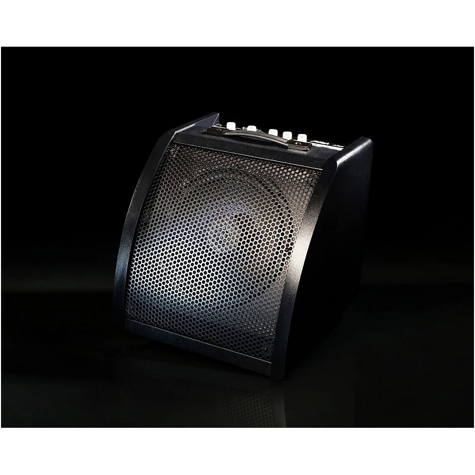Medeli AP-30B drum monitor Medeli AP-30B drum monitor