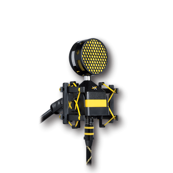 NEAT MICROPHONES WORKER-BEE 3 NEAT MICROPHONES WORKER-BEE 3