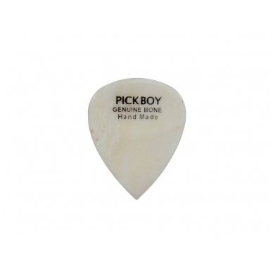 Pickboy GPBN-1 Exotic bone pick
