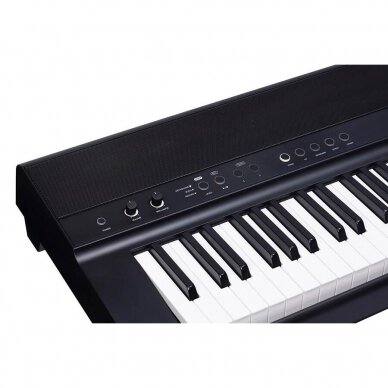 MEDELI SP-201 STAGE PIANO 3 MEDELI SP-201 STAGE PIANO 3